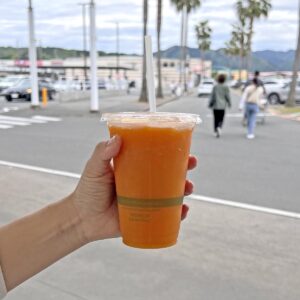 hokkaido_melon_smoothie2024_03