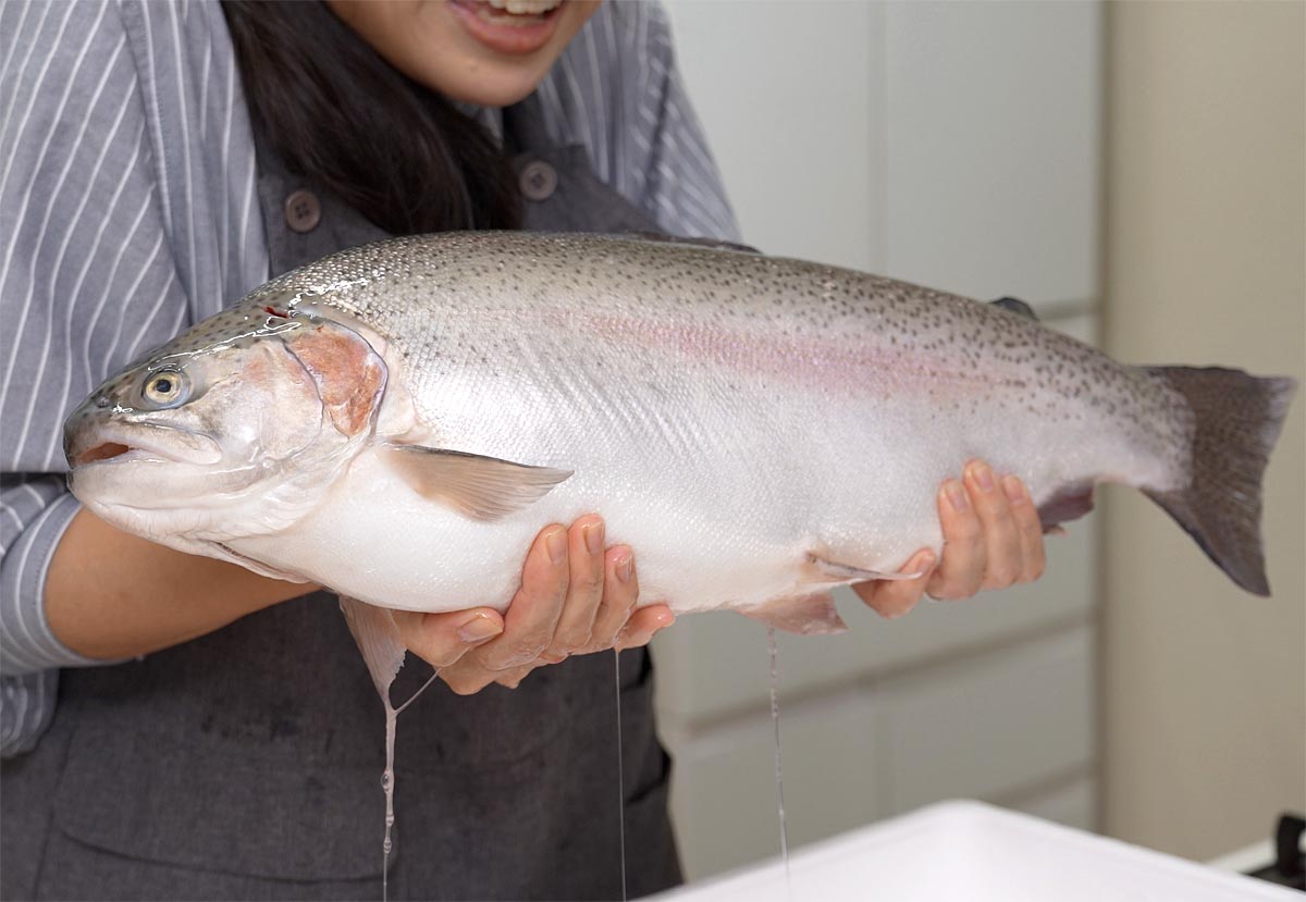 みらいサーモン　丸　手で持ってみた