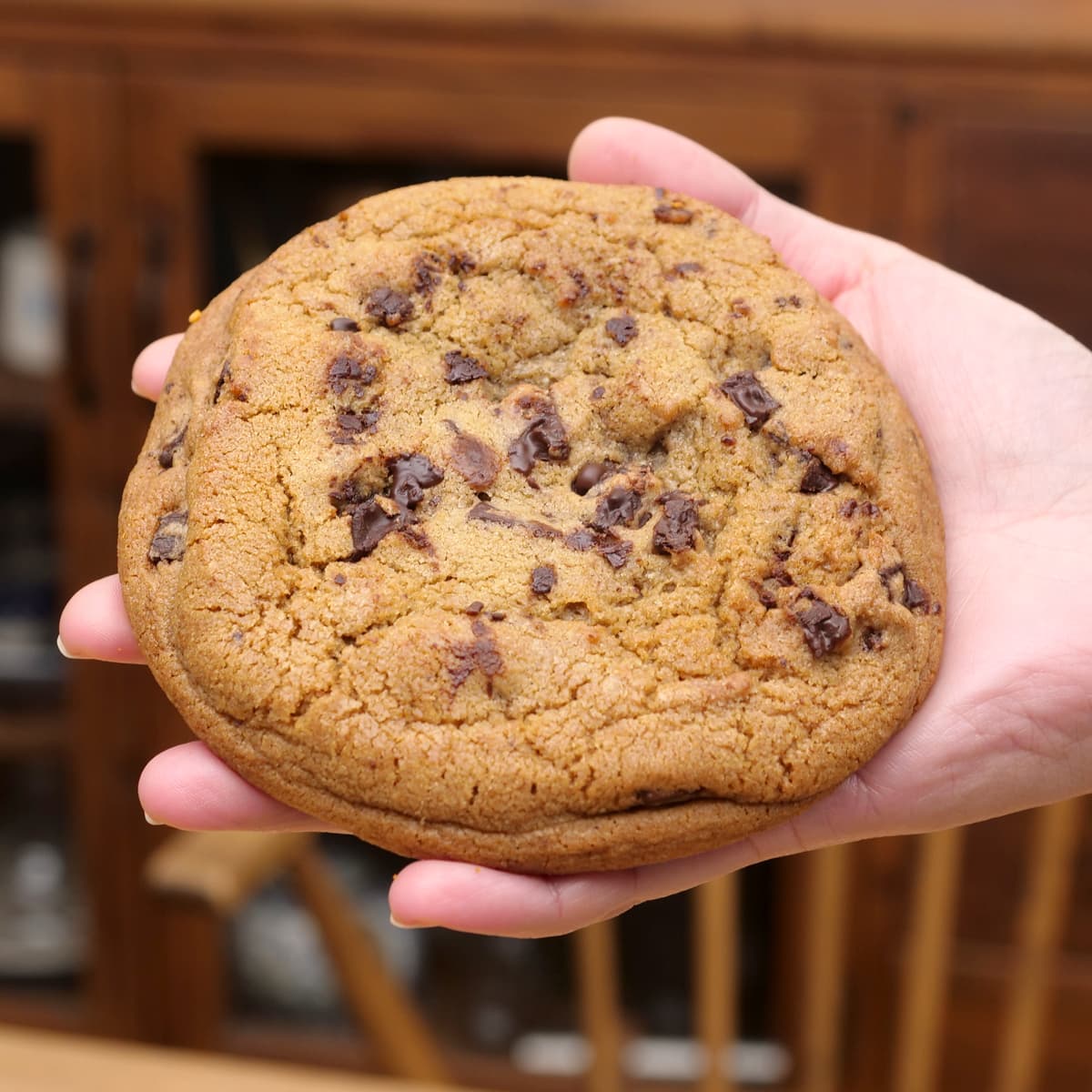 フードコート　ダブルチョコチャンククッキー　手に取った様子（サイズ）