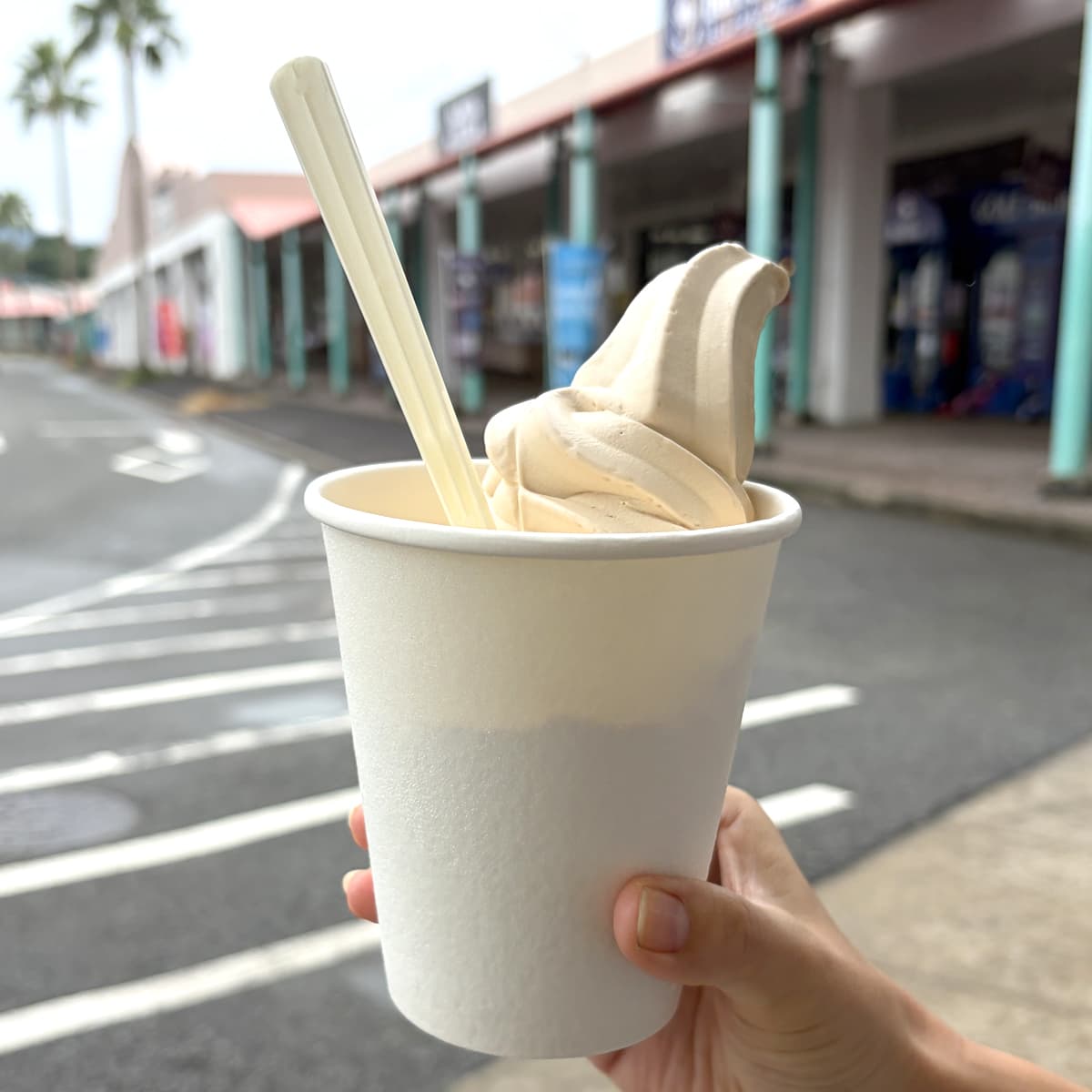 フードコート　マロンソフトクリーム【2025】