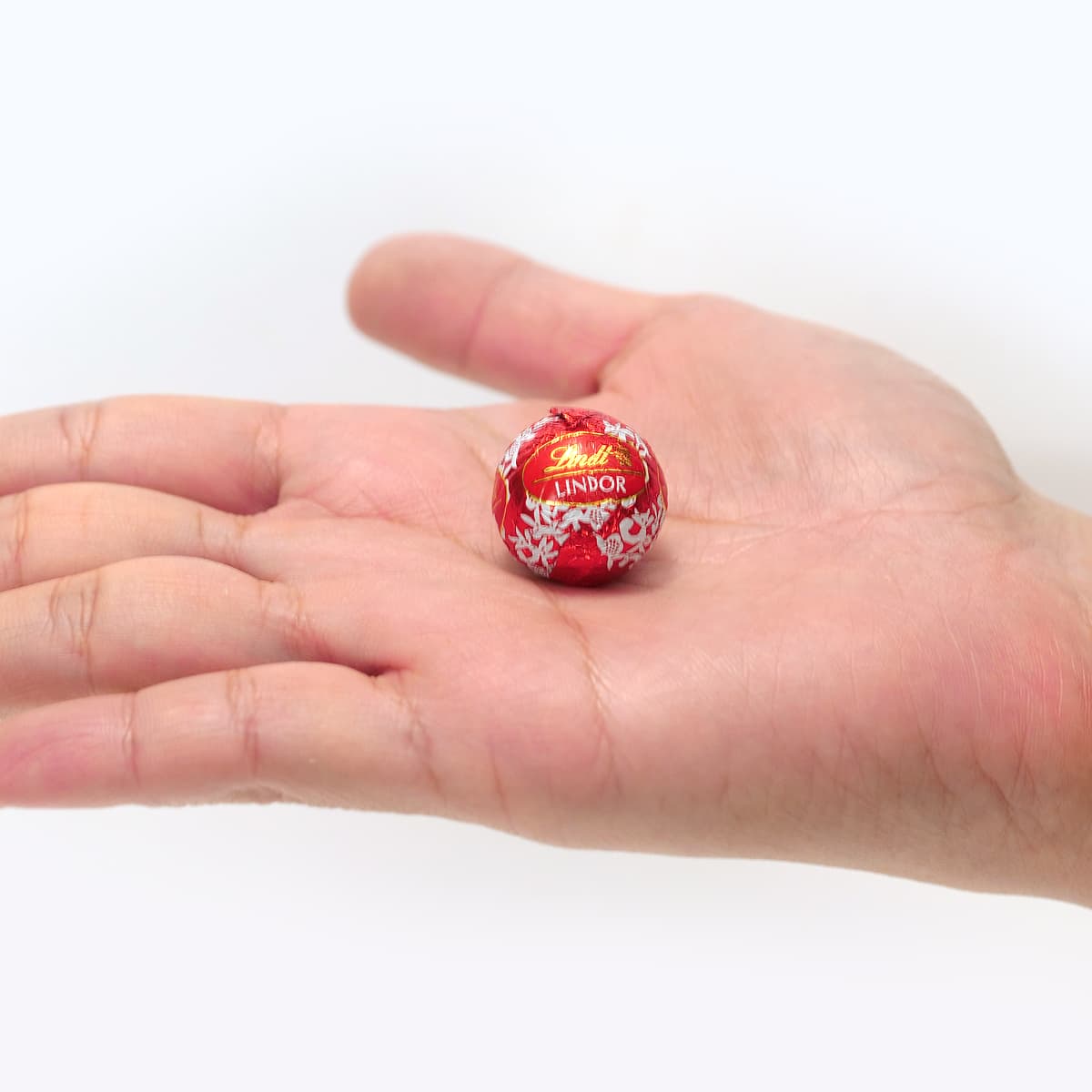 リンツ　ホリデーパック　450g　リンドールミニ