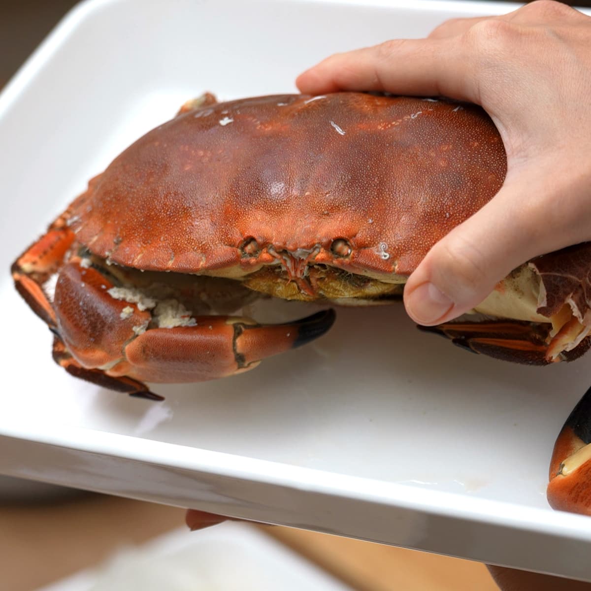 アイルランド産 ブラウンクラブ 顔の部分