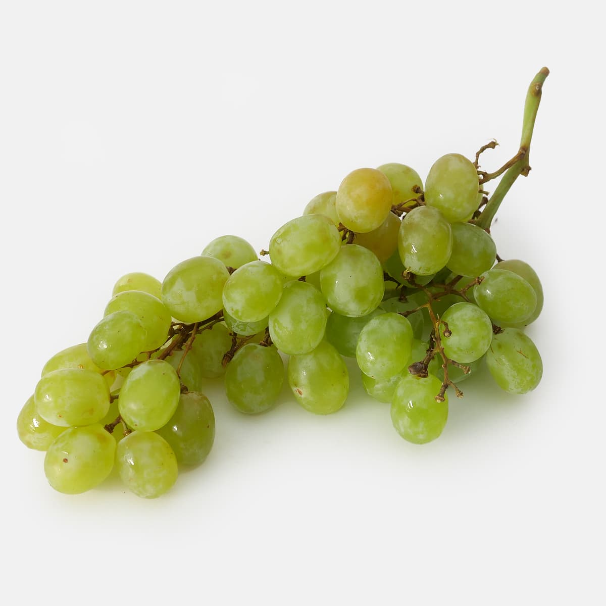 チリ産　コットンキャンディグレープ　1.36kg　一房