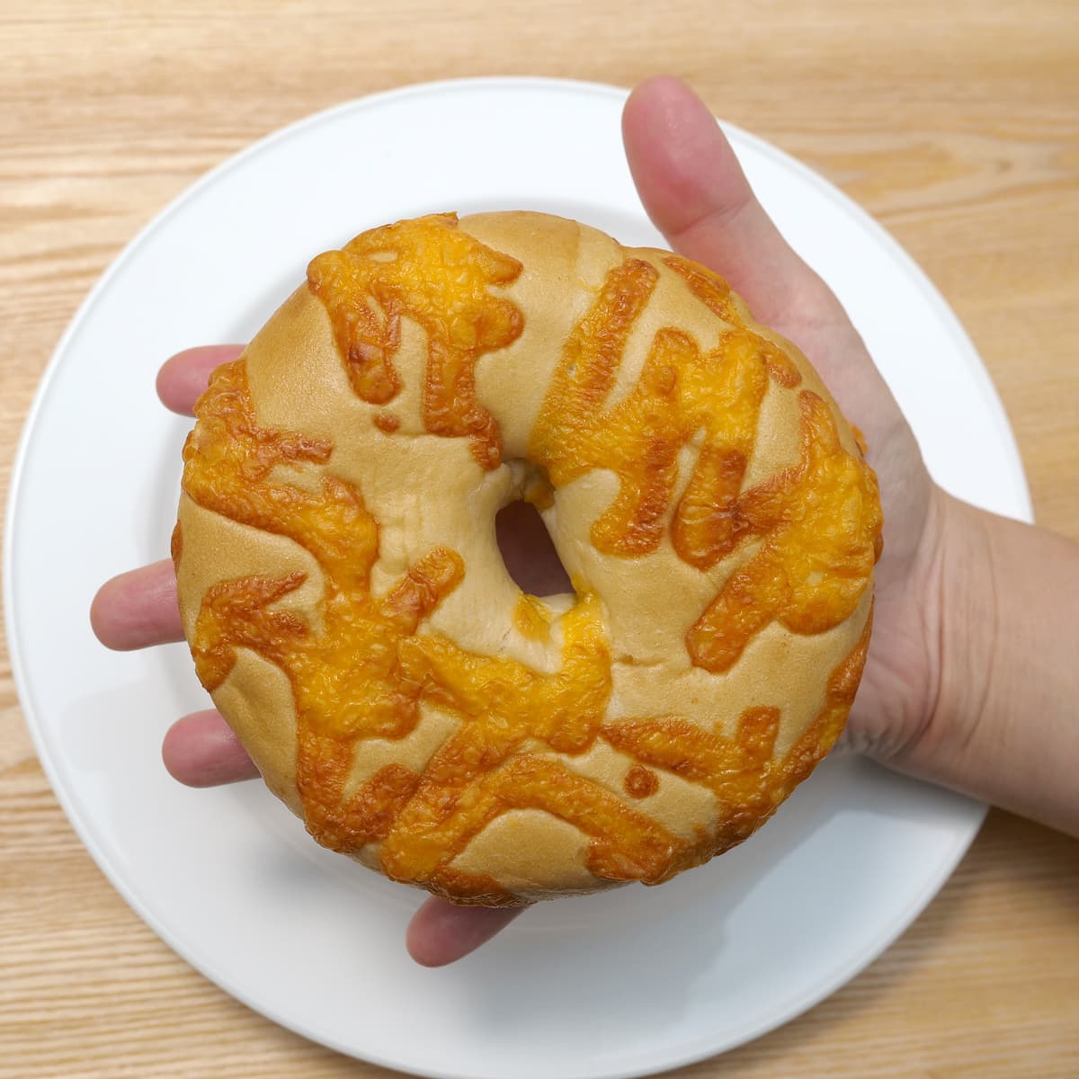 チーズベーグル　1個　手にのせた（サイズ感がわかるように）