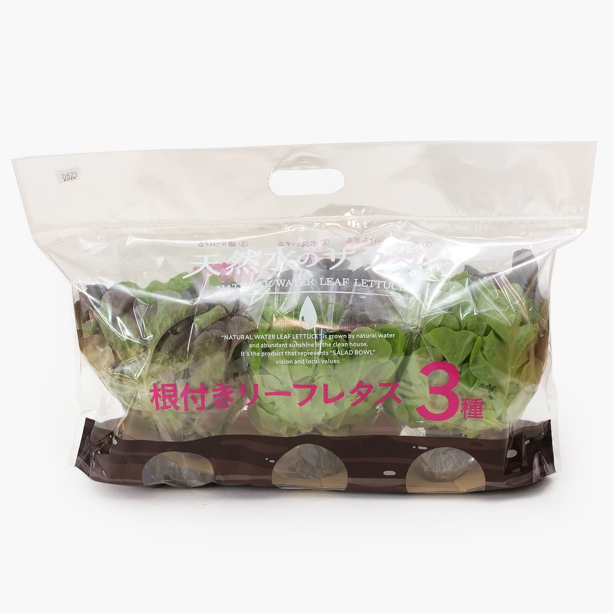 天然水のサラダ　根付きリーフレタス3種
