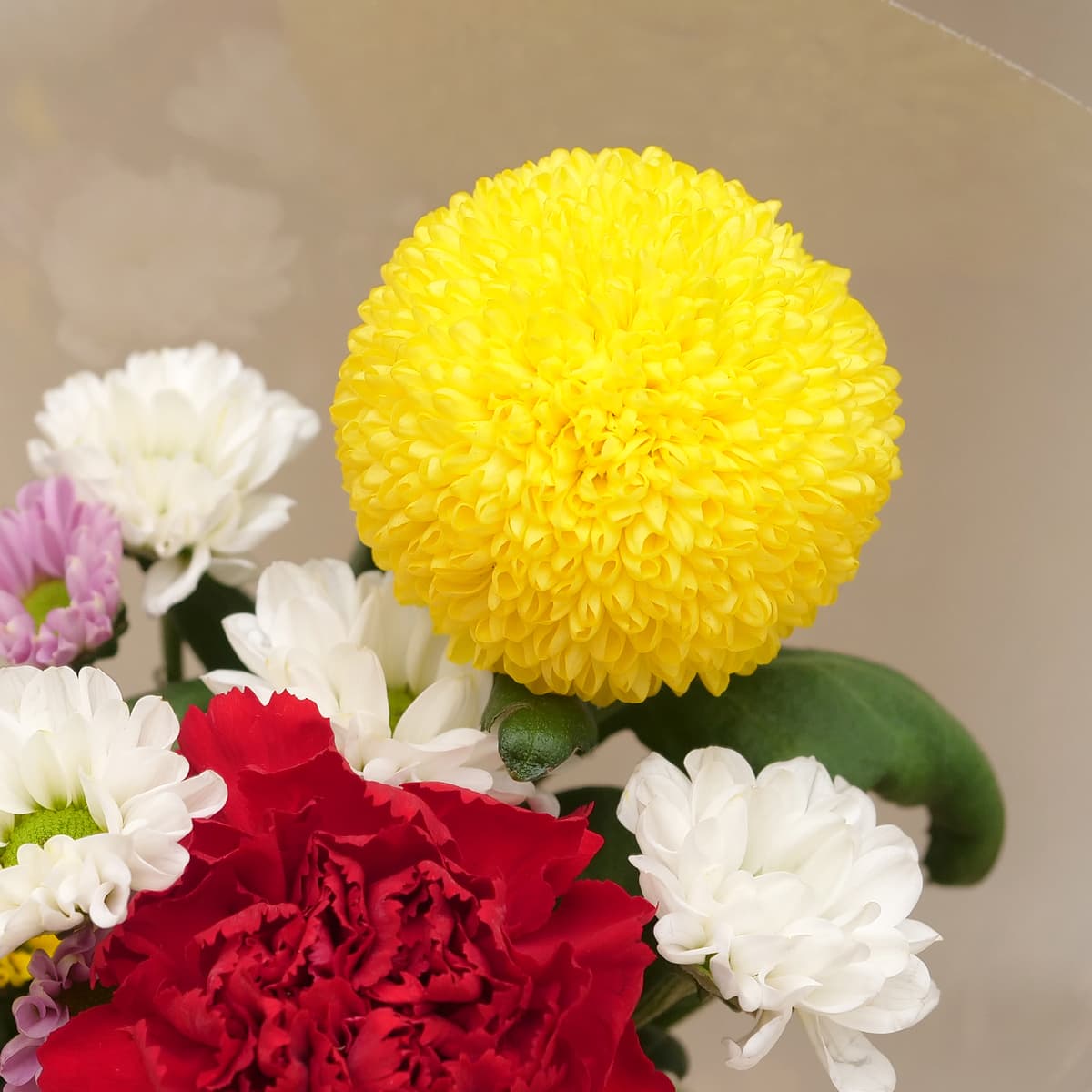 仏花 黄色い花 ピンポンマム