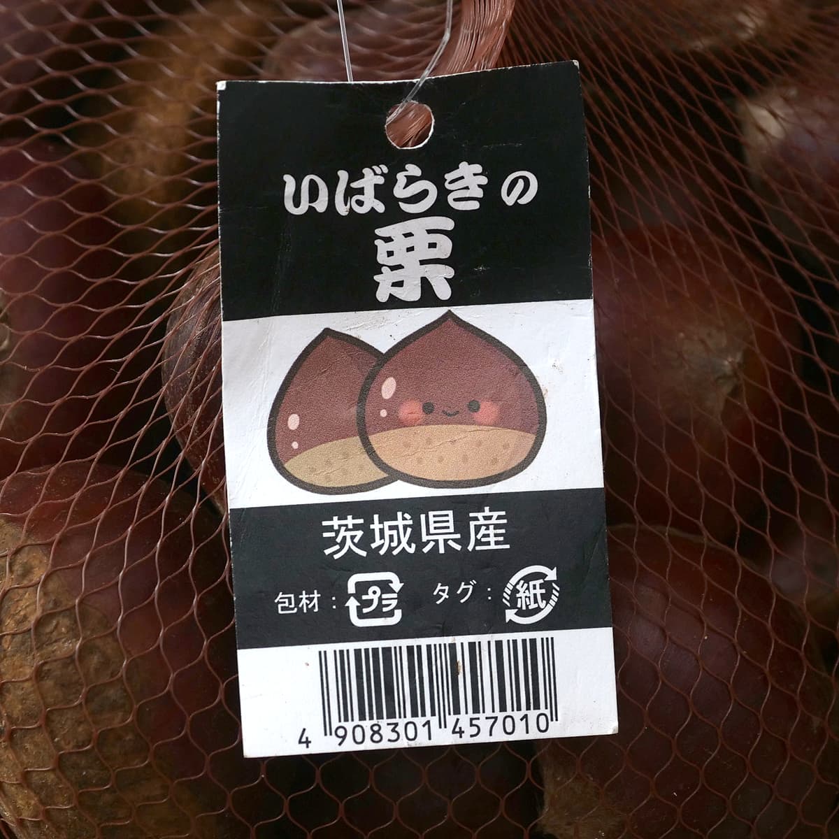 いばらきの栗　1.3kg　タグ