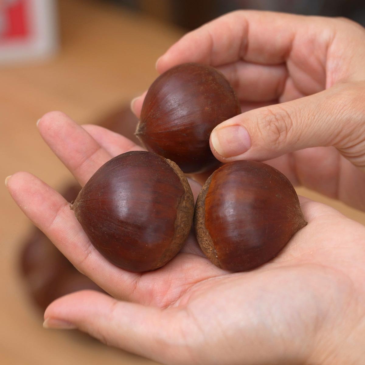 いばらきの栗　1.3kg　手のひらに3個